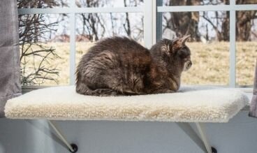 Подоконники