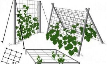Сетки для поддержки растений