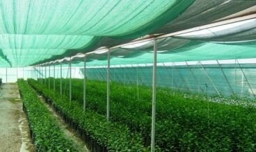 Затеняющая сетка