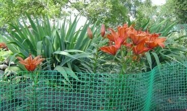 Сетки для декоративного ограждения