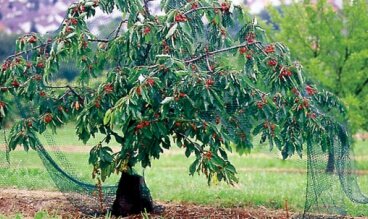 Сетки для защиты от птиц и животных