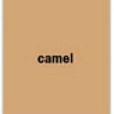 Baumit Premium Fuge затирка для швов - camel (капучино) 2 кг