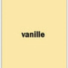 Baumit Premium Fuge затирка для швов - vanille (ванильный) 2 кг