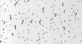 Узнать характеристики: Плита BAJKAL Board 90 600х600х12 мм Плита BAJKAL Board 90 600х600х12 мм